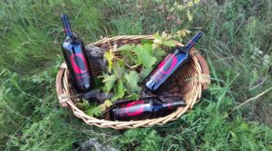 Bodegas Ondalán. Visita USA & Canadá